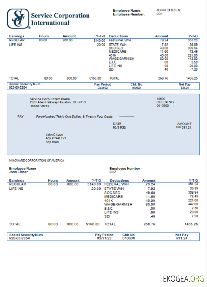 USA Service Corp. Bulletin de paie d'une entreprise internationale de consommation discrétionnaire